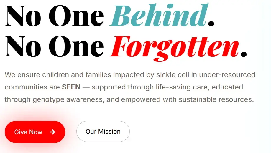 The NOB Foundation home page, with the red Give Now button below the headline
